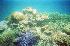 064 Great Barrier Reef